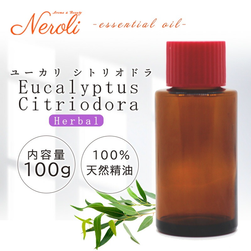 �桼���� ���ȥꥪ�ɥ� �� ����桼���� �ˡ� �������� ��