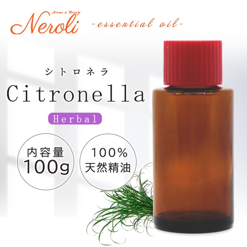 ���ȥ��ͥ�  �� �������� ��