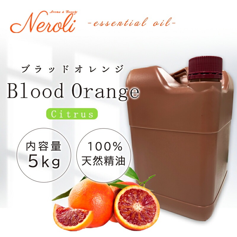 �֥�åɥ����  �� �����ʣ���������� ��