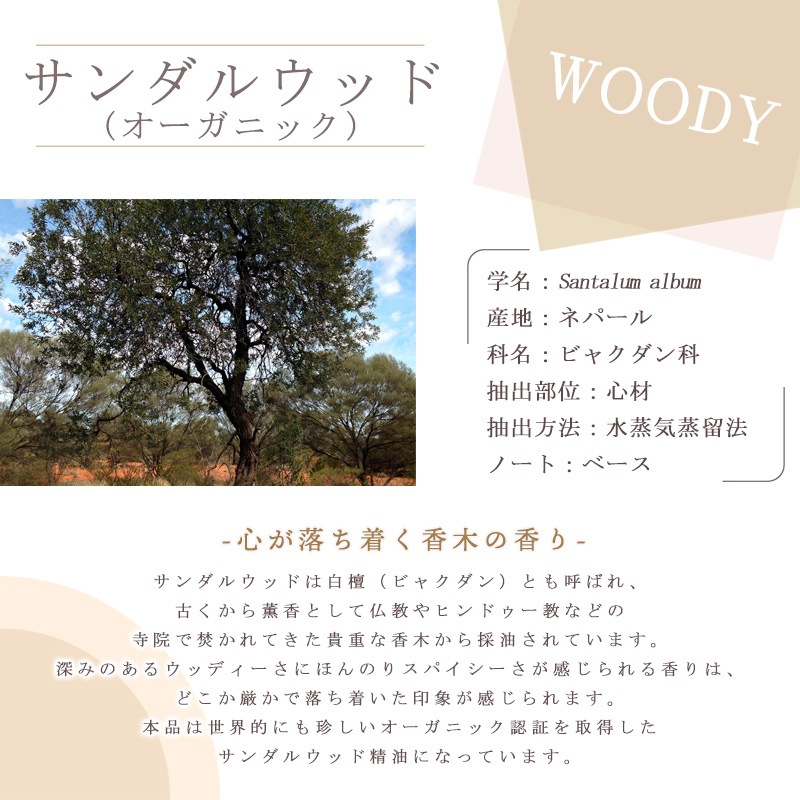 ������륦�å�(�������˥å�)  �� ����� �� ���������� �� ��