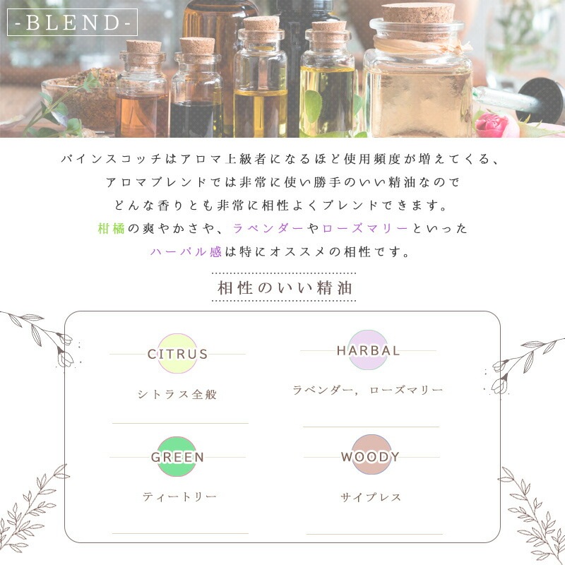 �ѥ��� �����å� �� �ԥʥ� ��  �� ������ �� 