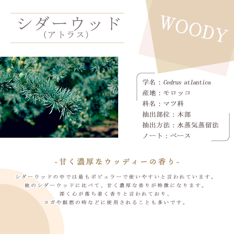 ���������å� �� ���ȥ饹 ��  �� �����ʣ���������� ��