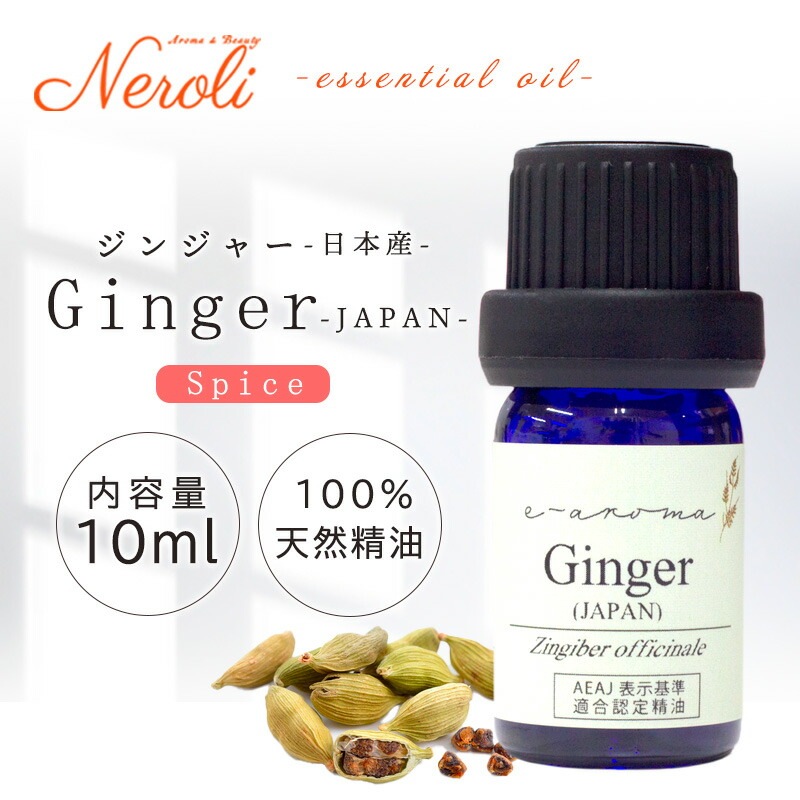 ���ܻ����󥸥㡼  �� �������� ��