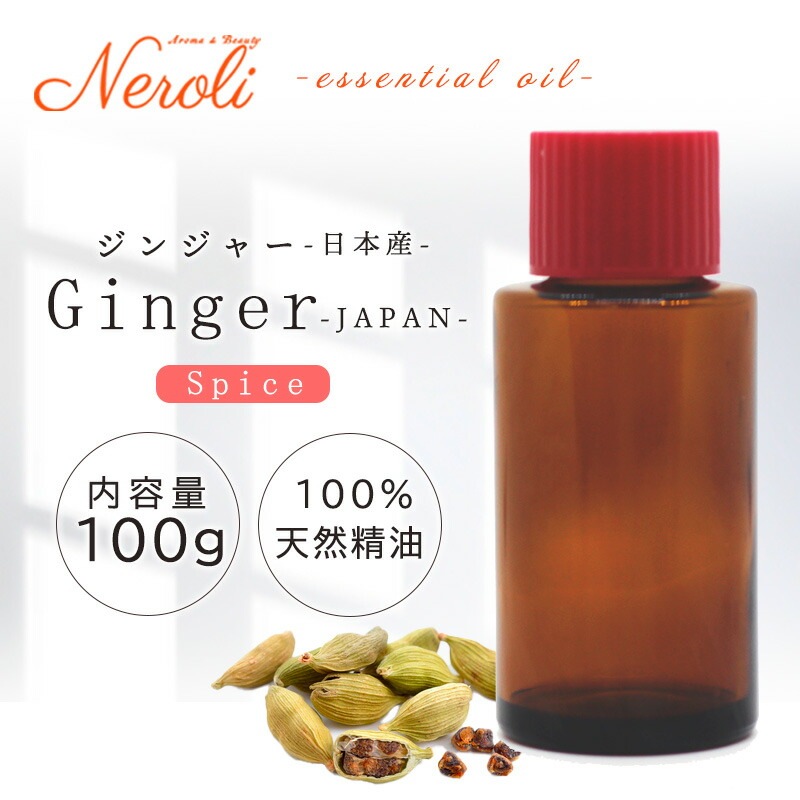 ���ܻ����󥸥㡼  �� �������� ��