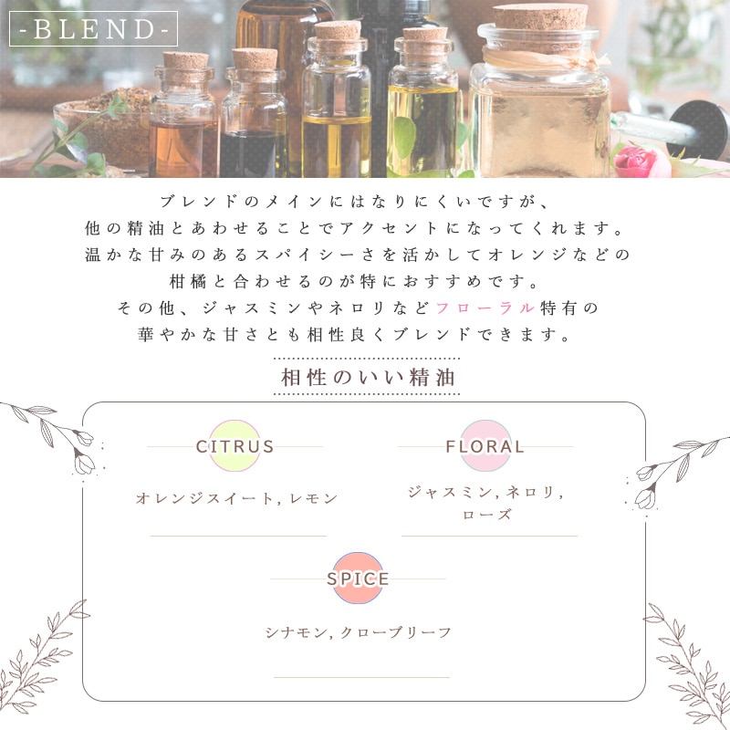 ���ܻ����󥸥㡼  �� �������� ��