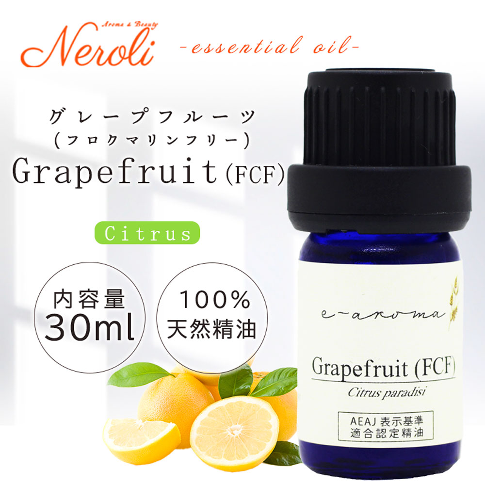 ���졼�ץե롼�� �ե����ޥ�� �ե꡼  �� �������� ��