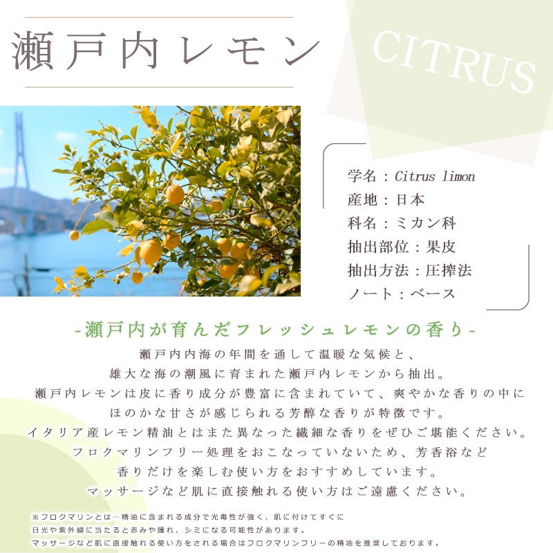 ���������  �� ������ ��