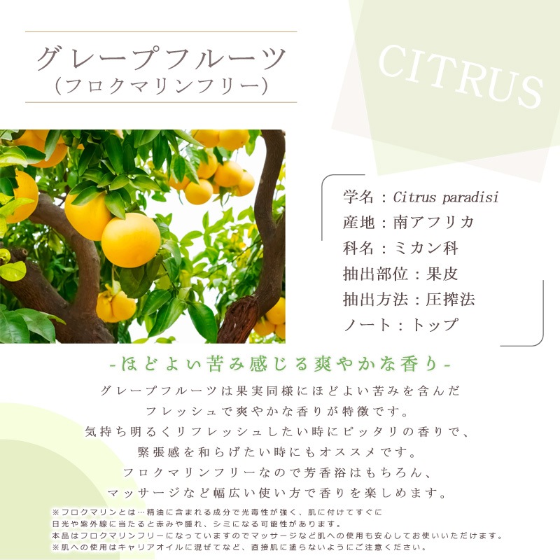 ���졼�ץե롼�� �ե����ޥ�� �ե꡼  �� ����� �� ���������� �� ��