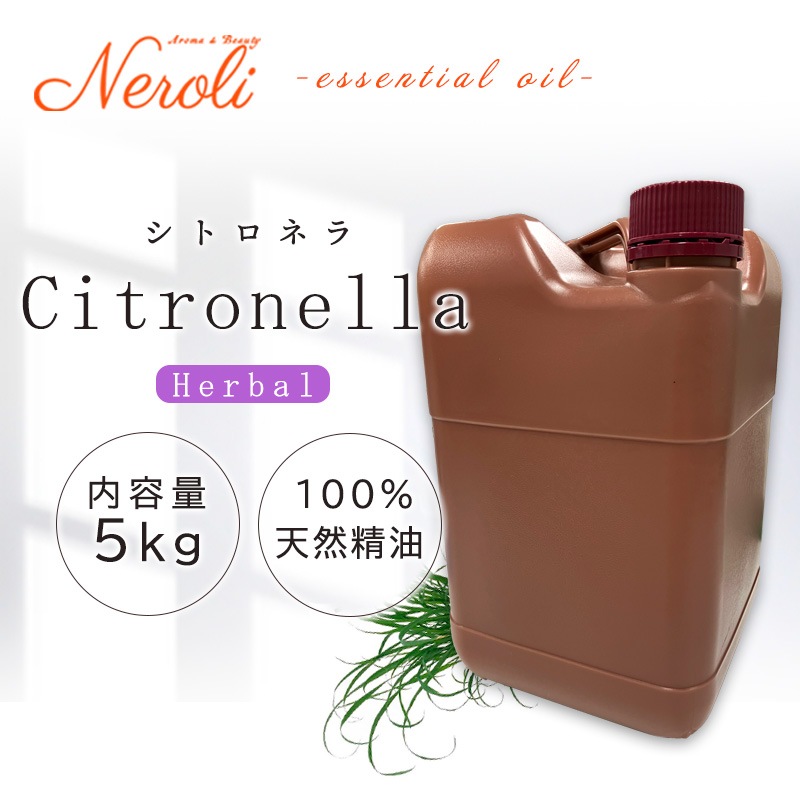 ���ȥ��ͥ�  �� �����ʣ���������� ��