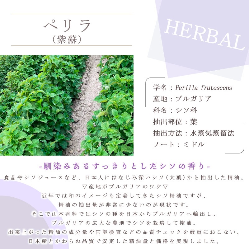 �ڥ�� �� ���� / ���� �� �� �������� ��