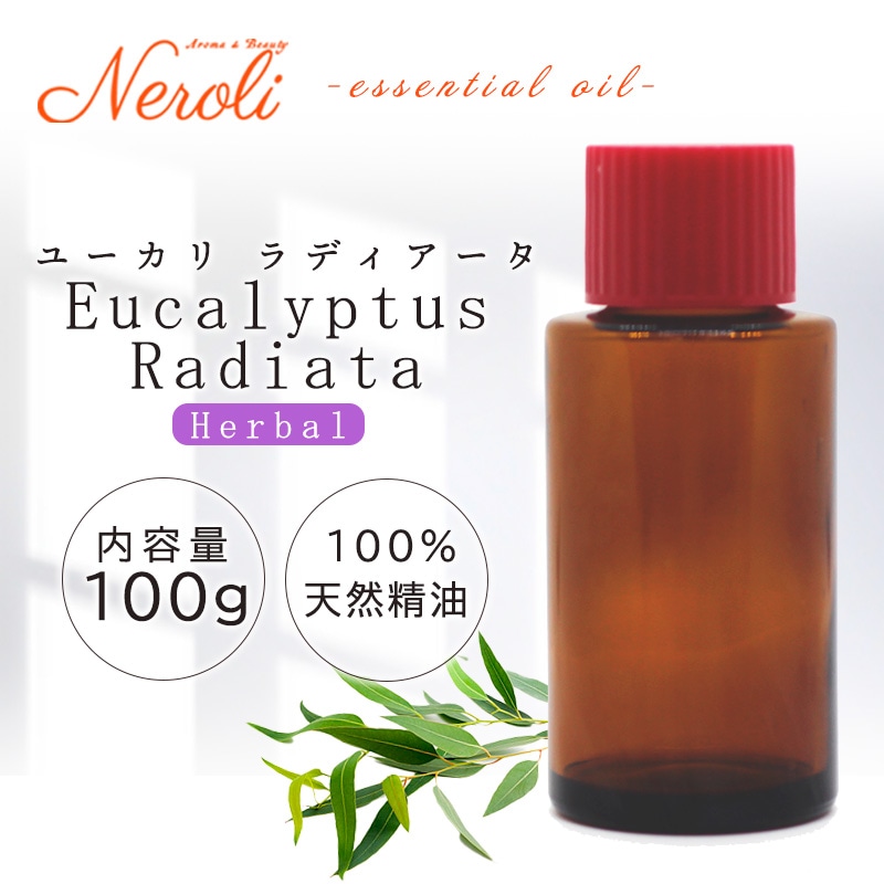 �桼���� ��ǥ��������� �������� ��