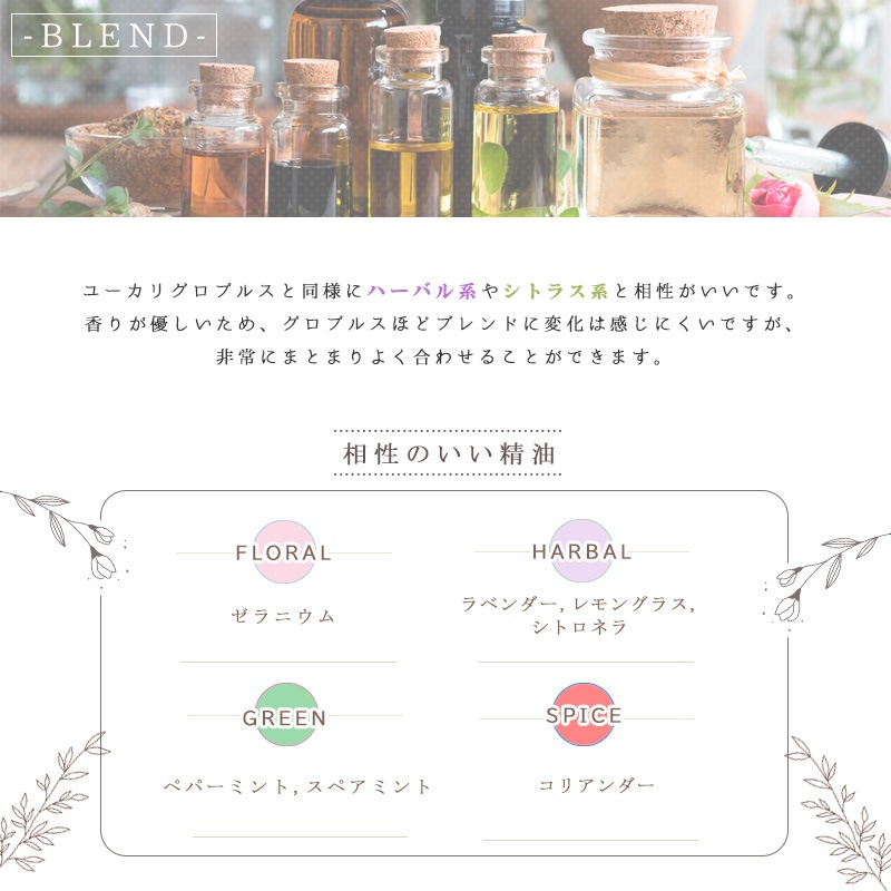 �桼���� ��ǥ��������� �����ʣ���������� ��