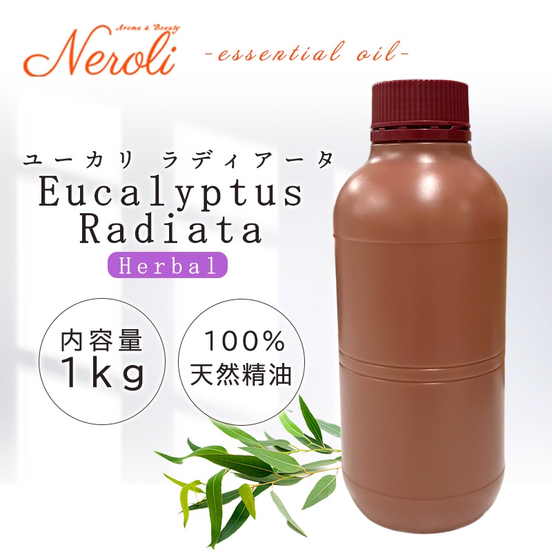 �桼���� ��ǥ��������� �����ʣ���������� ��