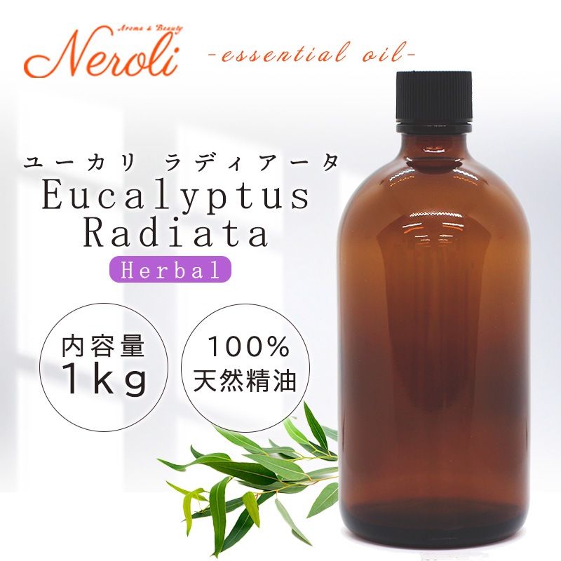 �桼���� ��ǥ��������� �����ʣ���������� ��