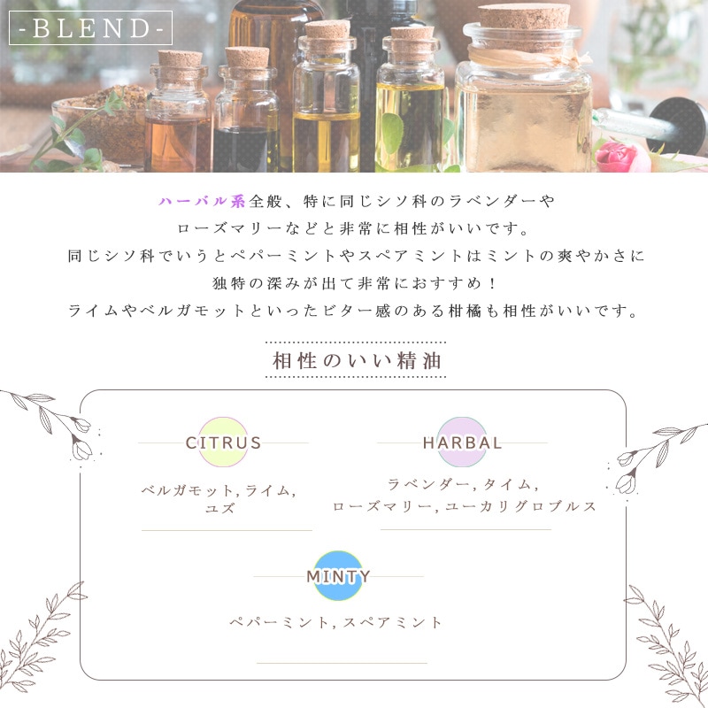 �ڥ�� �� ���� / ���� �� �� �������� ��