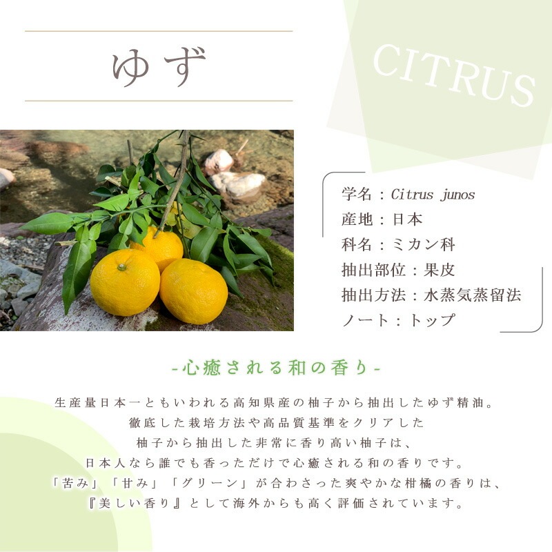 ͮ�� DISTILD �� �楺 �ǥ����ƥ���� �� �� �������� ��