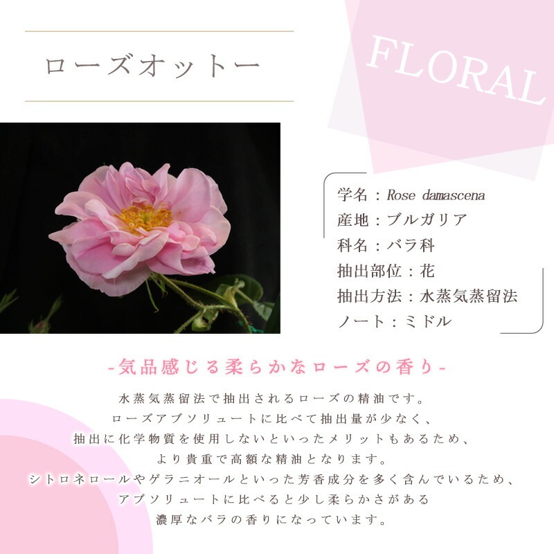 ���������åȡ�  �� ������ ��