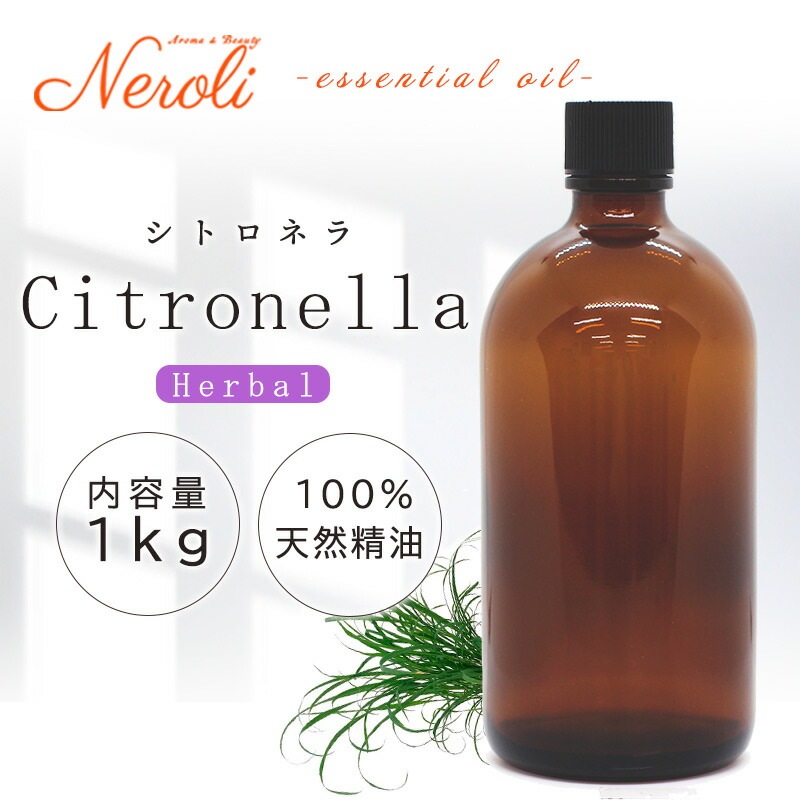 ���ȥ��ͥ�  �� �����ʣ���������� ��