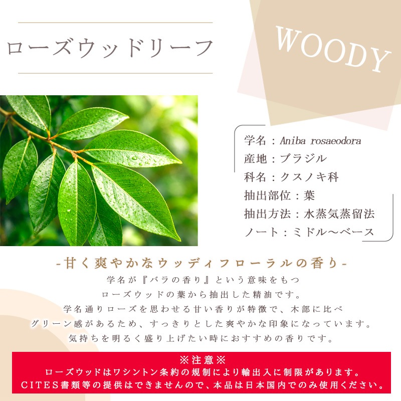 ���������åɥ꡼��  �� �������� ��