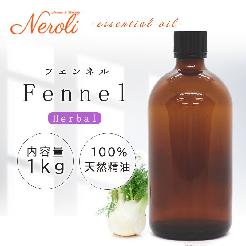 �ե���ͥ�  �� �����ʣ���������� ��