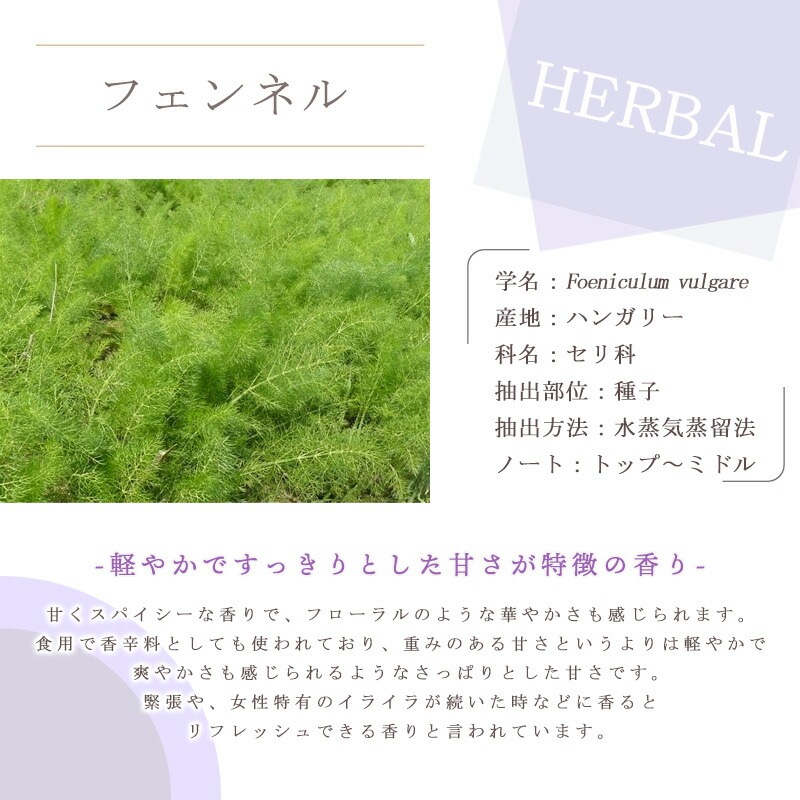 �ե���ͥ�  �� �����ʣ���������� ��