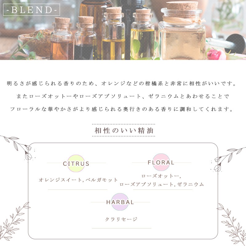 ���������åɥ꡼��  �� �������� ��