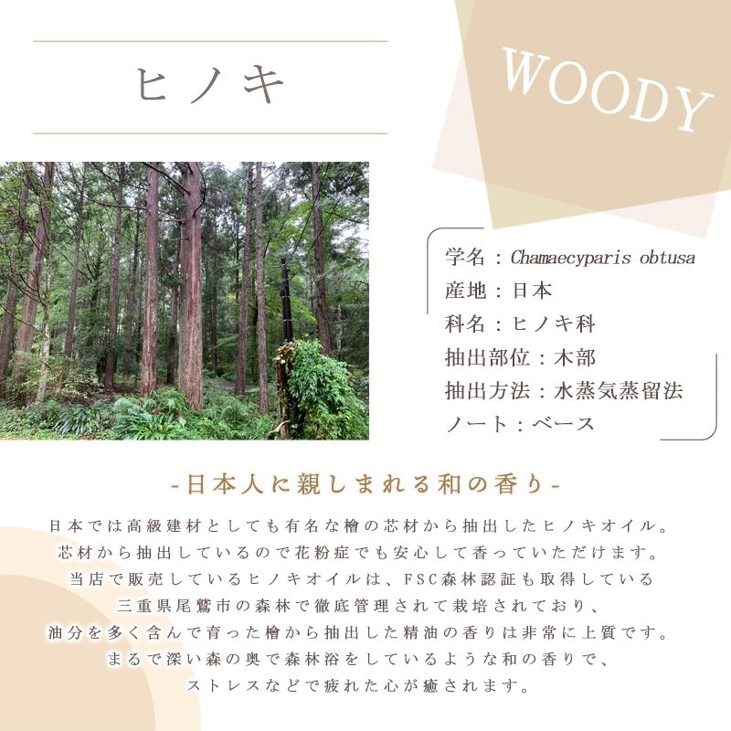 �ҥΥ�  �� �����ʣ���������� ��