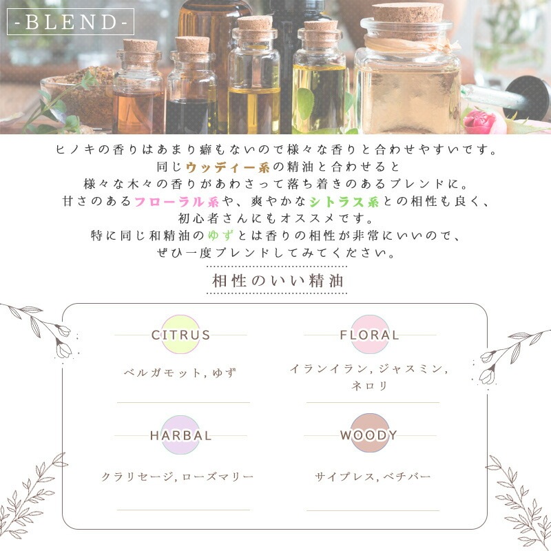 �ҥΥ�  �� �����ʣ���������� ��