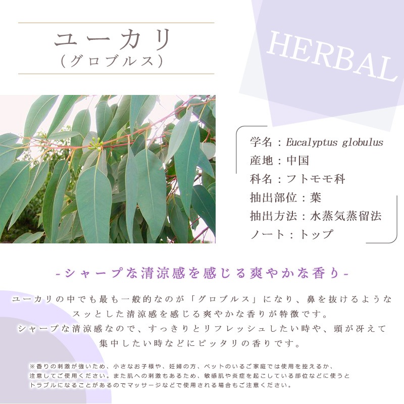 �桼���� �� �����֥륹 ��  �� �����ʣ���������� ��