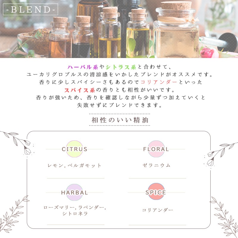 �桼���� �� �����֥륹 ��  �� �����ʣ���������� ��