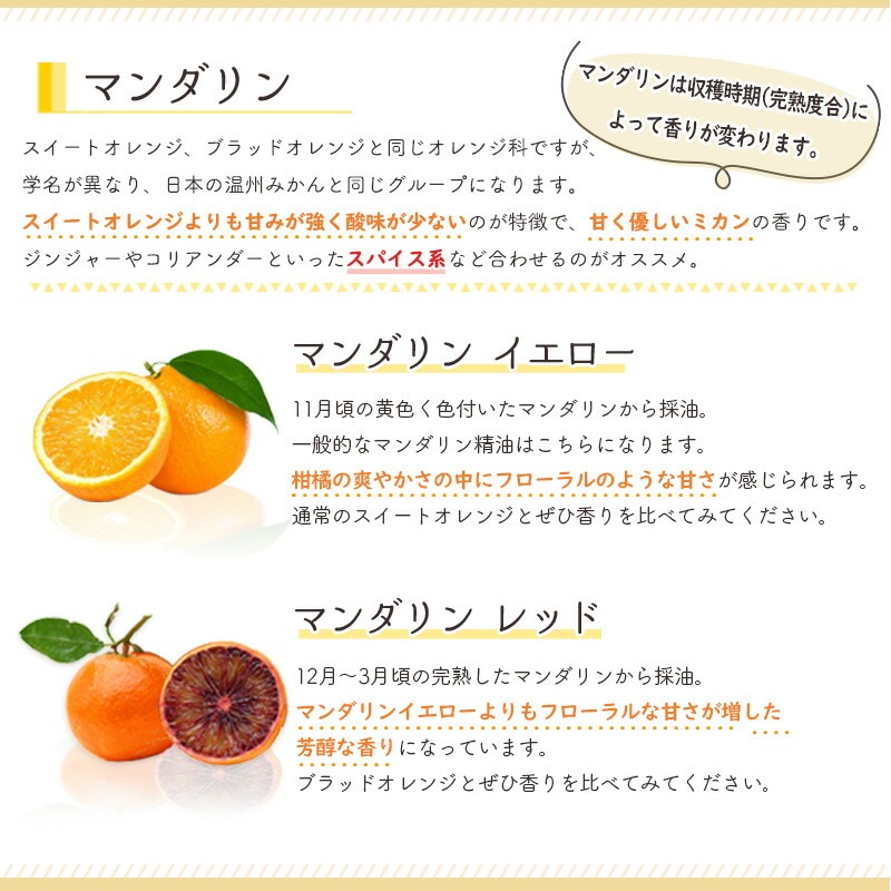 ������Ҹ����� ��������� ������ ���å�<BR>�������ȥ���� �� �֥�åɥ���� �� �ޥ����� �ʥ�����������åɡ�<BR>�� ������ �� ���� ���åȡ�<BR>���å��󥷥�륪���� / ���� / �����ޥ�����