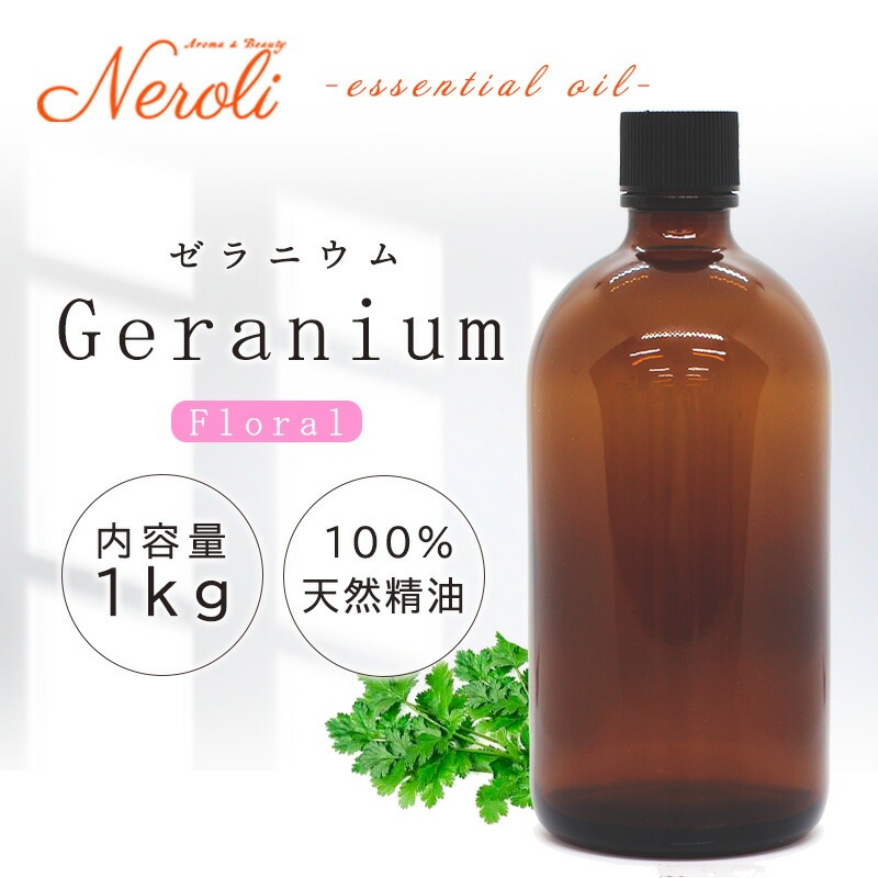 ����˥��� �ʥ����ץȡ� �� ����� �� ���������� �� ��