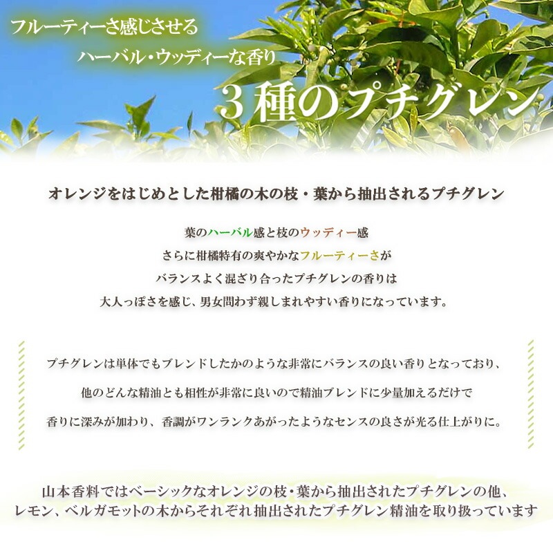 Ҹ ץ  å <BR>   3 åȡ<BR> ץ  ץ ȥ˥  ץ ٥륬å<BR> å󥷥륪 /  / ޥ