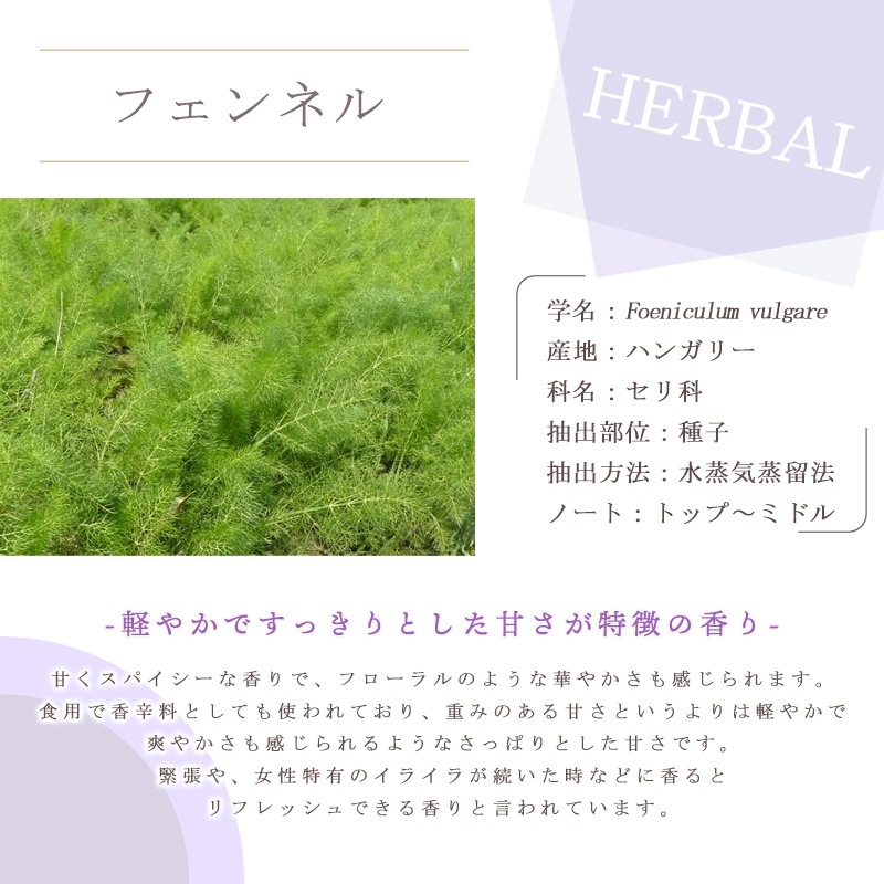 �ե���ͥ�  �� �����ʣ���������� ��