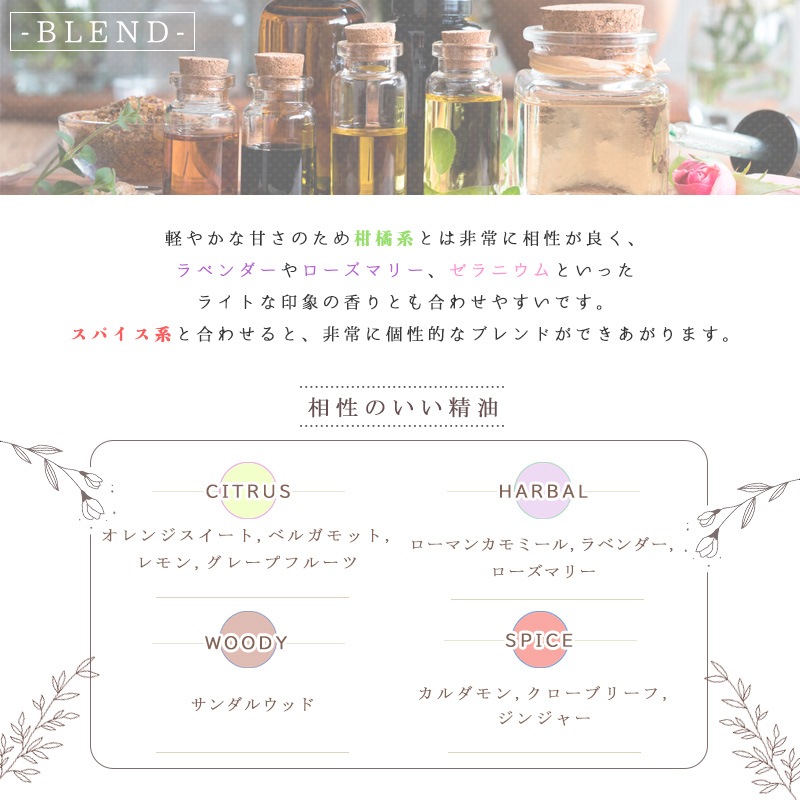 �ե���ͥ�  �� �����ʣ���������� ��