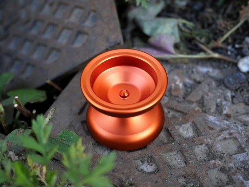 マグノリア 【Sun Queen】