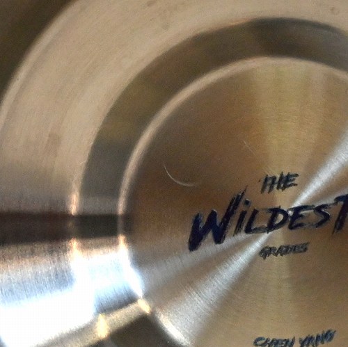 【品番95】ザ・ワイルデスト