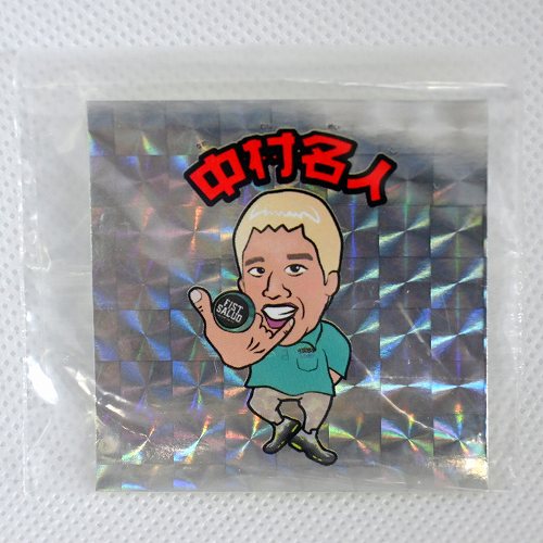 品番65】ステルスリミックス（シルバー） | 全てのUSED商品