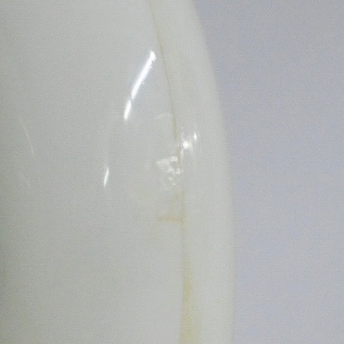 【品番80】モスキート（ホワイト×レッドロゴ）【2005WYYC】