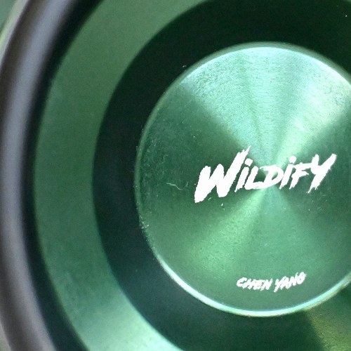 品番98】ワイルディファイ（グリーン×マットブラックリム） | すべての