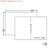 C1B5 ナナコピー 1000シート マルチタイプ 裏面スリット1本入 B5ノーカット・表紙ラベル 東洋印刷|ナナコピー|OAラベル