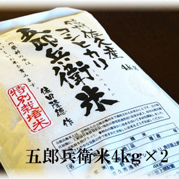 【信州佐久オーガニック研究会】令和8年度産 特別栽培米「五郎兵衛米」白米8kg(4kg×2)