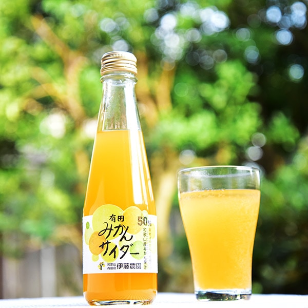 【伊藤農園】有田みかんサイダー　８本ギフトセット