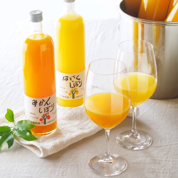 伊藤農園】100%ピュアジュース180ml＆750ml ギフトセット