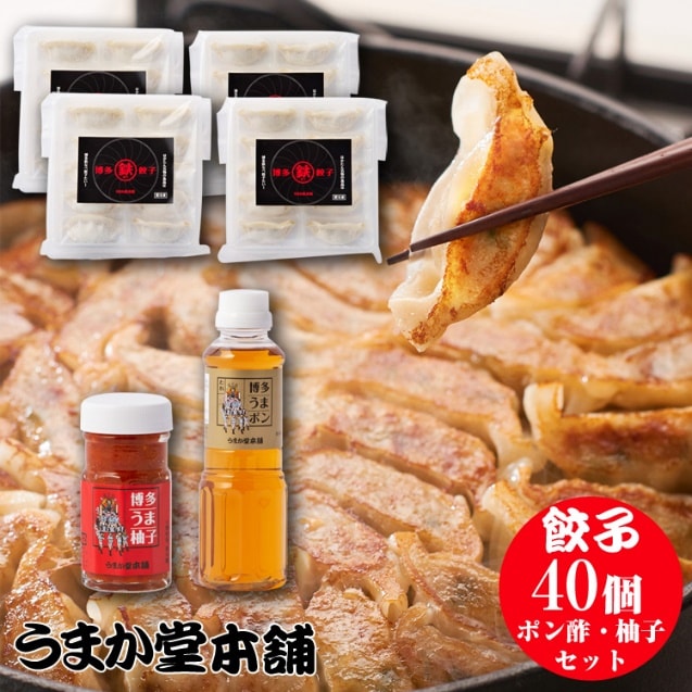 【うまか堂本舗】博多鉄なべ餃子40個調味料セット