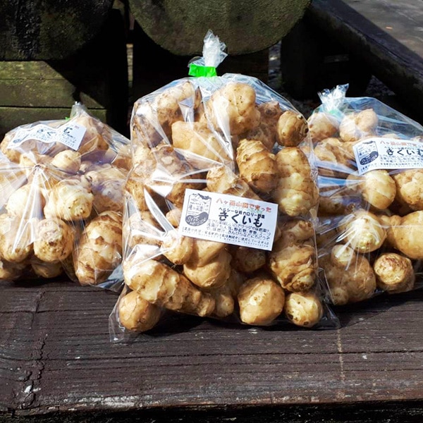 【種to菜園】キクイモ2ｋｇ