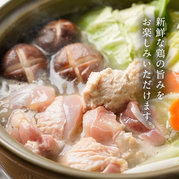 【MEAT PLUS】はかた地どり美人水炊きセット　2～3人前