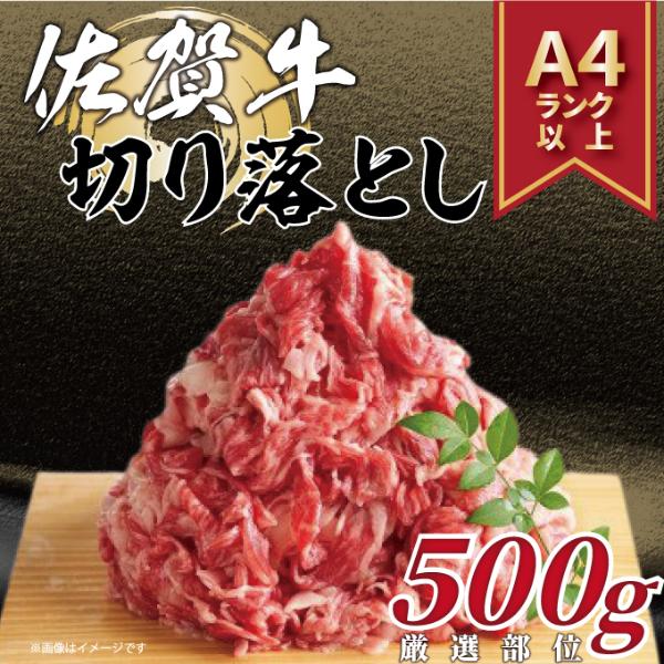 【MEAT PLUS】艶さし！【A4～A5】佐賀牛切り落とし　500ｇ