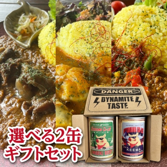 【北山カリー工房】選べるカレー缶２種ギフトセット