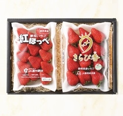 (限定商品)【フルーツワールド】いちご味比べ（1月中旬～2月下旬頃発送予定）